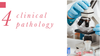 4 clinical pathology 幅広いコンサルテーション